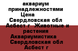 аквариум c принадлежностями › Цена ­ 2 000 - Свердловская обл., Асбест г. Животные и растения » Аквариумистика   . Свердловская обл.,Асбест г.